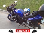 Yamaha FZS photo 2