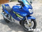 Suzuki GSX 600 F photo