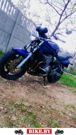 Suzuki Bandit photo