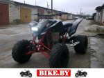 Suzuki QuadSport photo 1