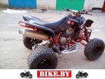 Suzuki QuadSport photo 2