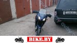 Triumph Tiger photo 3