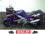 Kawasaki ZZR photo 3