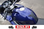 Yamaha FJR photo 3