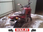 Aprilia Pegaso photo 2