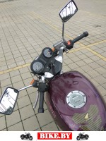 Honda NTV photo 6