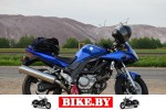 Suzuki SV photo 6