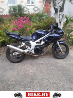 Suzuki SV photo 1