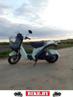 Suzuki SV photo