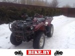 Yamaha Grizzly photo 2