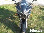 Yamaha FZ1 FAZER photo 1